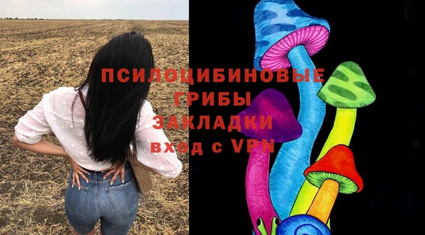 эйфоретик Богданович